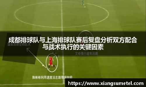 成都排球队与上海排球队赛后复盘分析双方配合与战术执行的关键因素
